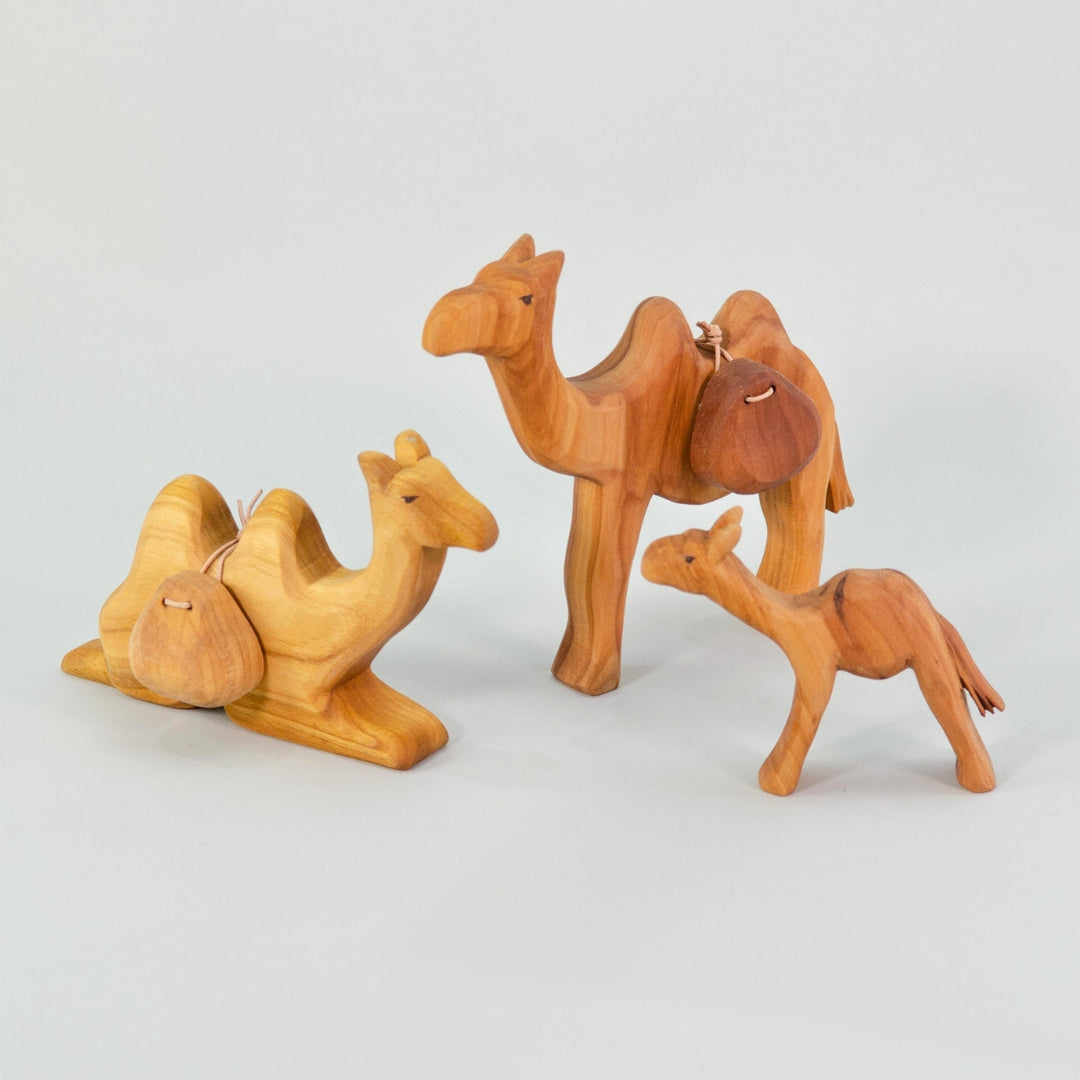 P096 Predan Camel Small