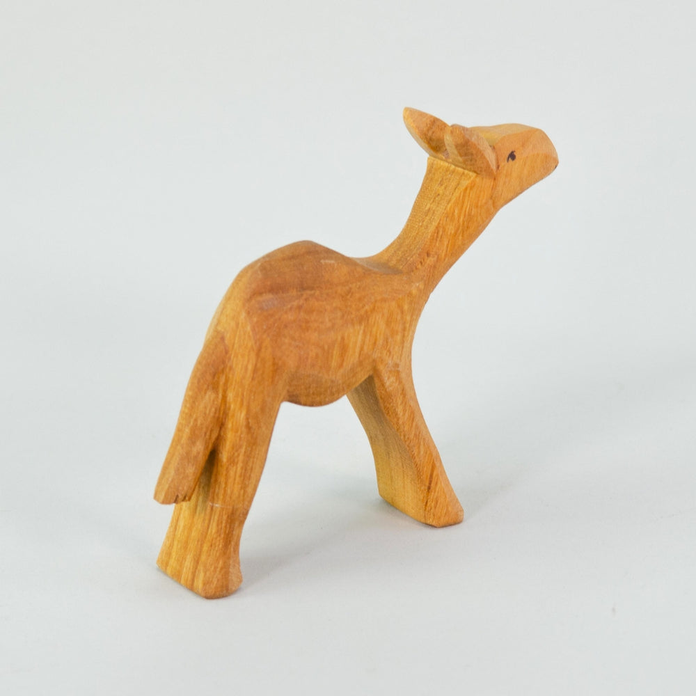 P096 Predan Camel Small
