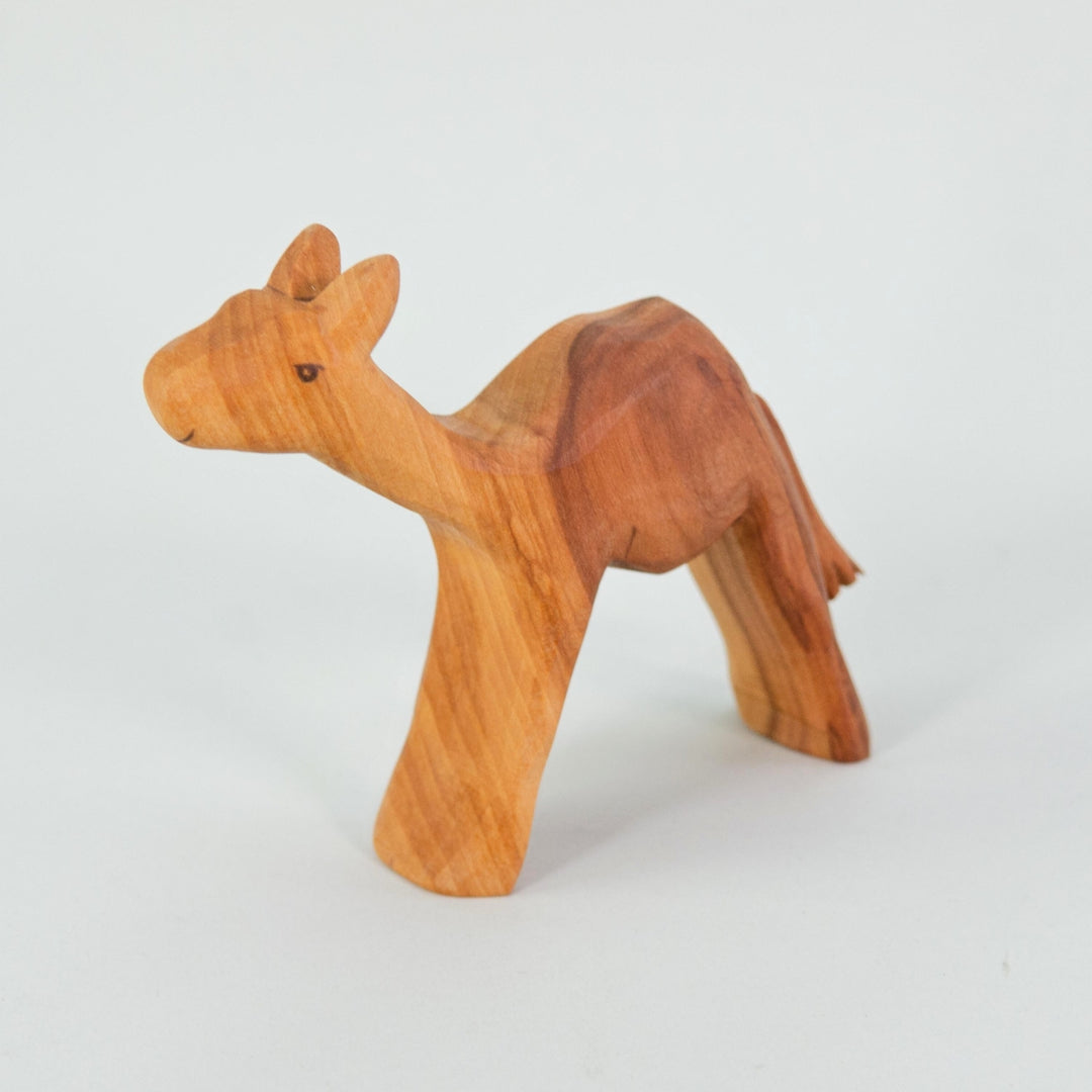 P096 Predan Camel Small