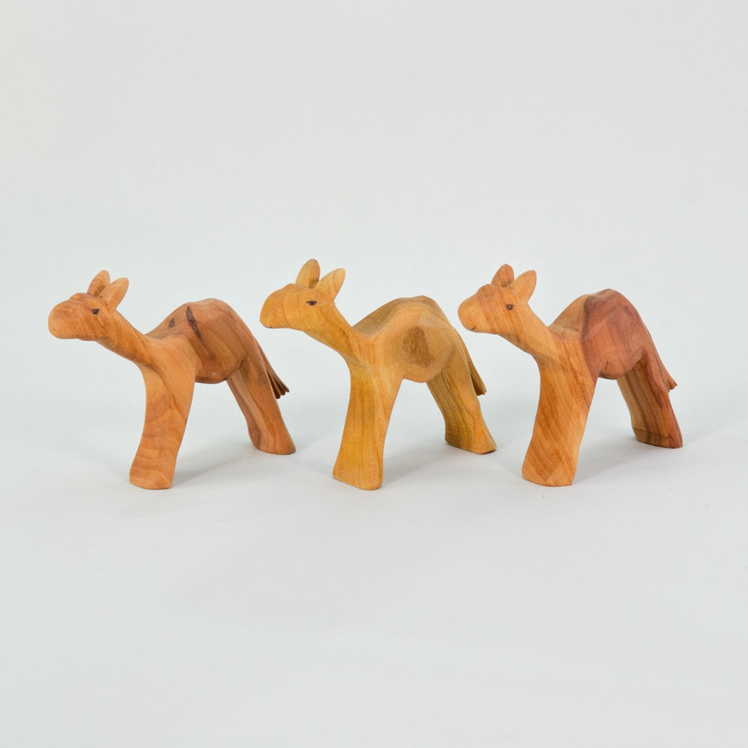 P096 Predan Camel Small
