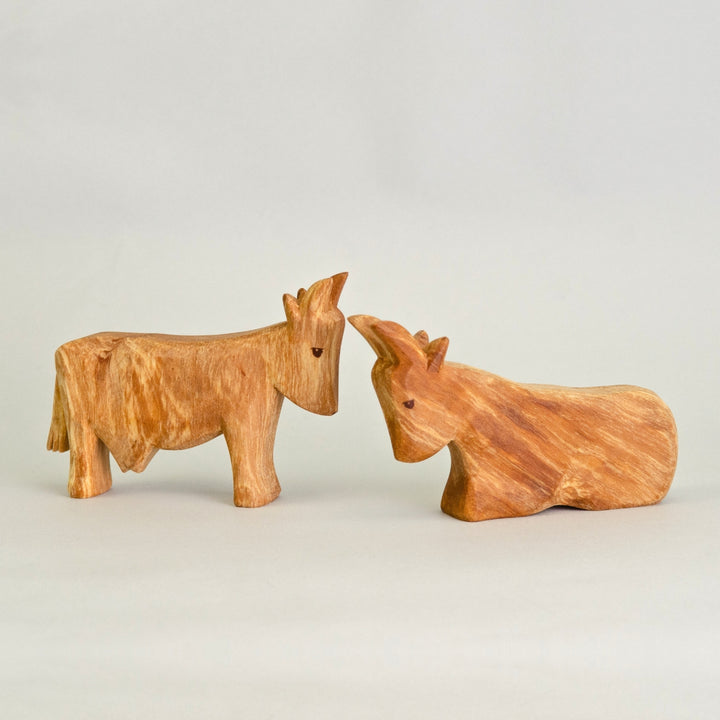 P013 Predan Cow Standing