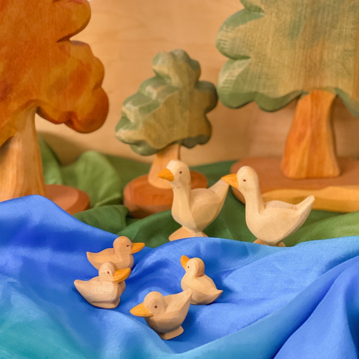 P023 Predan Duck Swimming