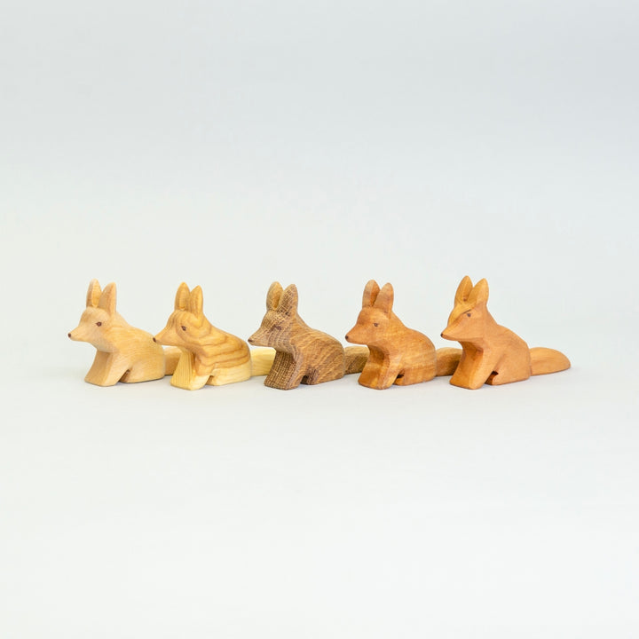 P031 Predan Fox Sitting