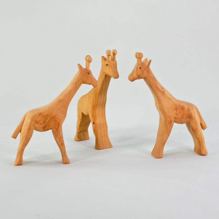 P094 Predan Giraffe