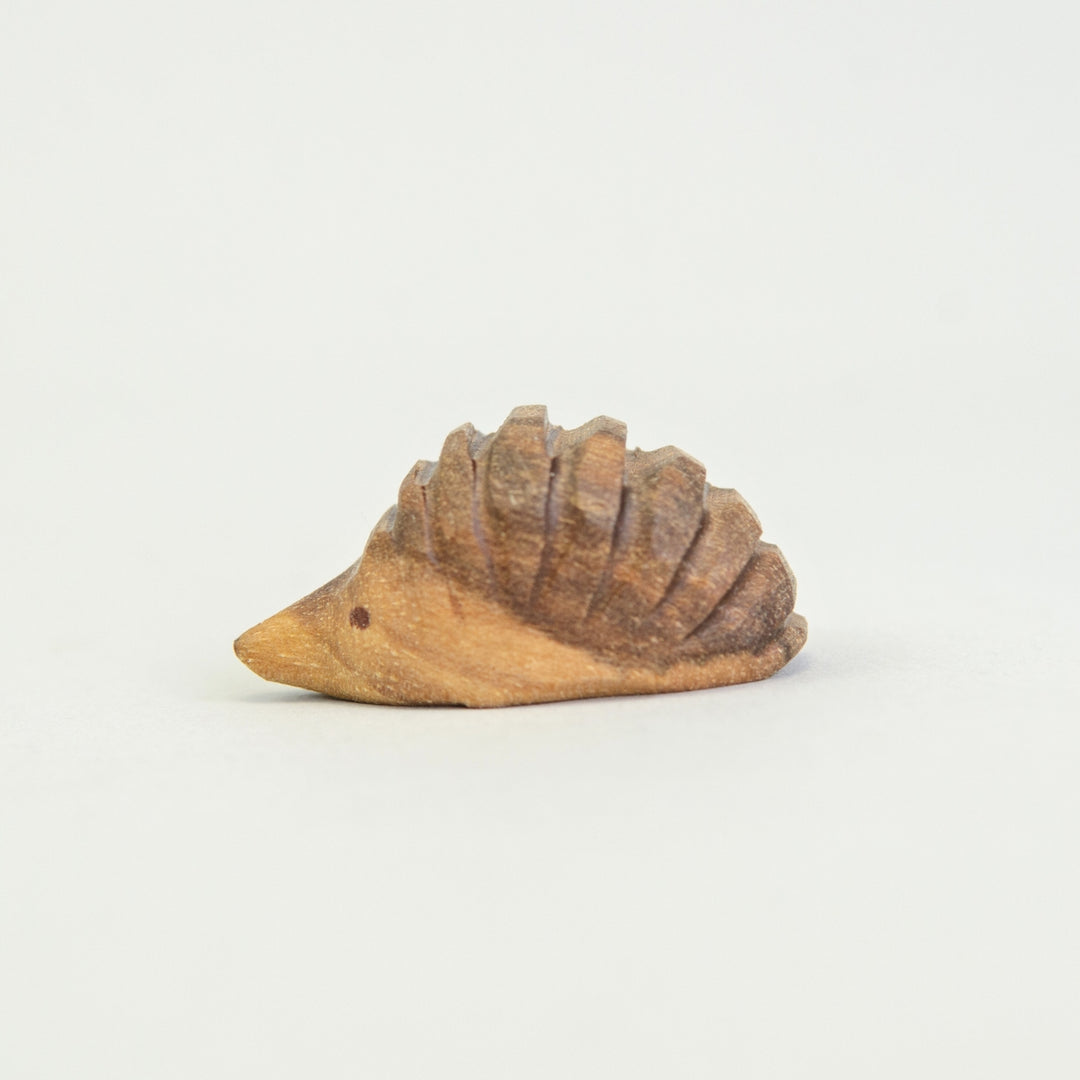P037 Predan Hedgehog