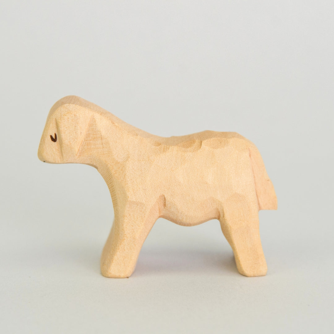 P043 Predan Lamb