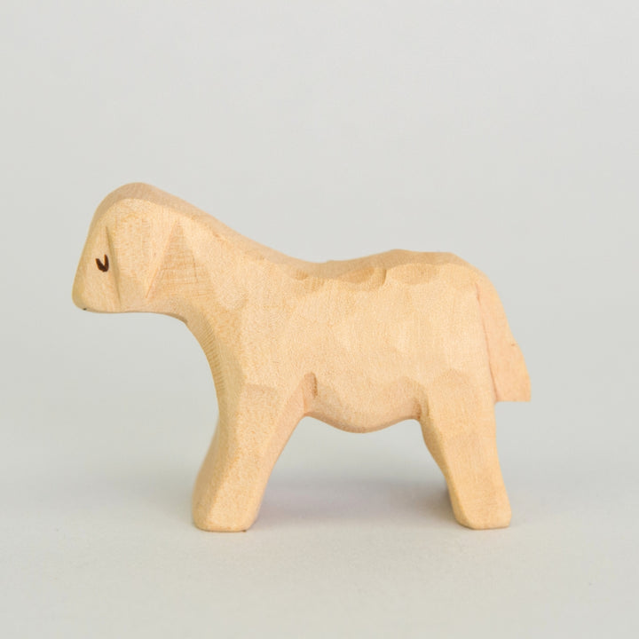P043 Predan Lamb