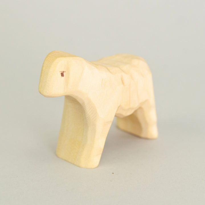P043 Predan Lamb
