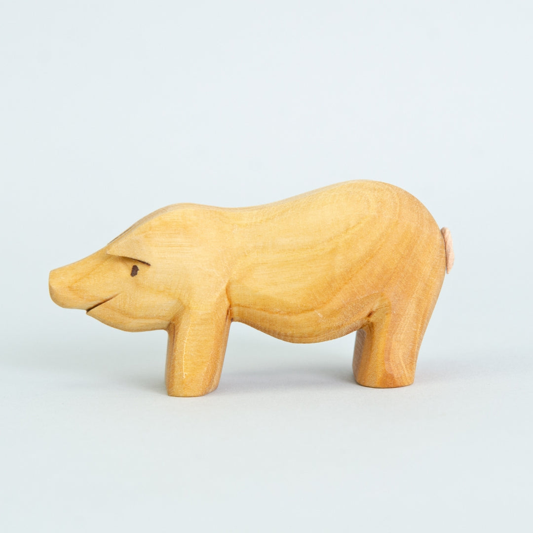 P063 Predan Pig