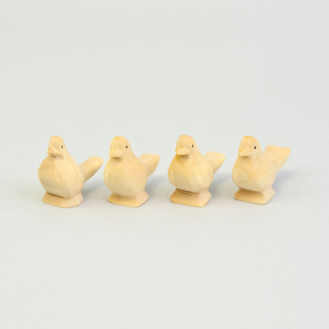 P064 Predan Pigeon