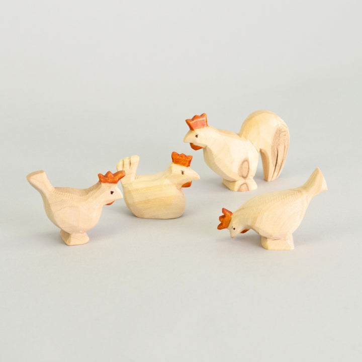 P071 Predan Rooster
