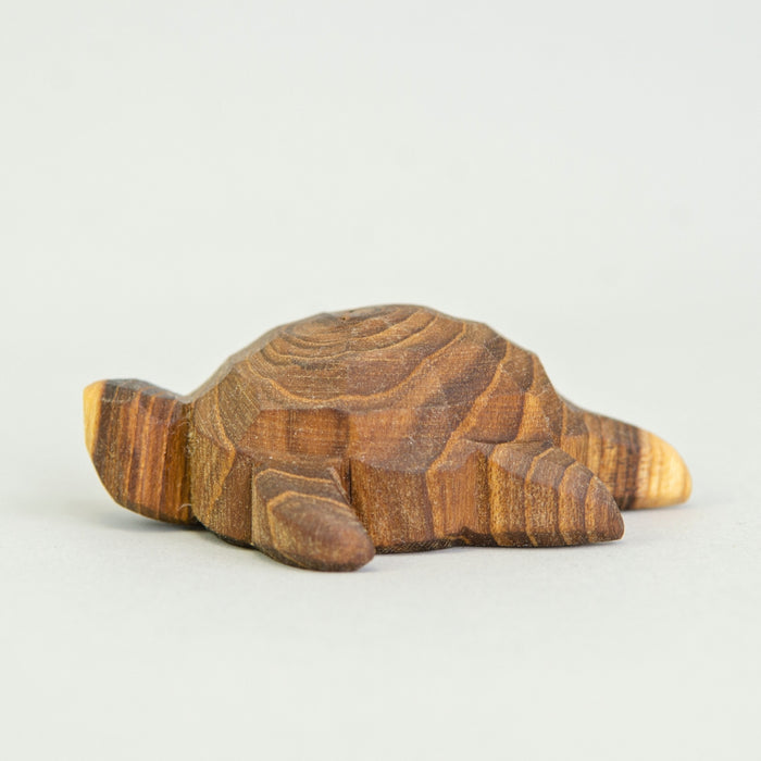 P083 Predan Turtle