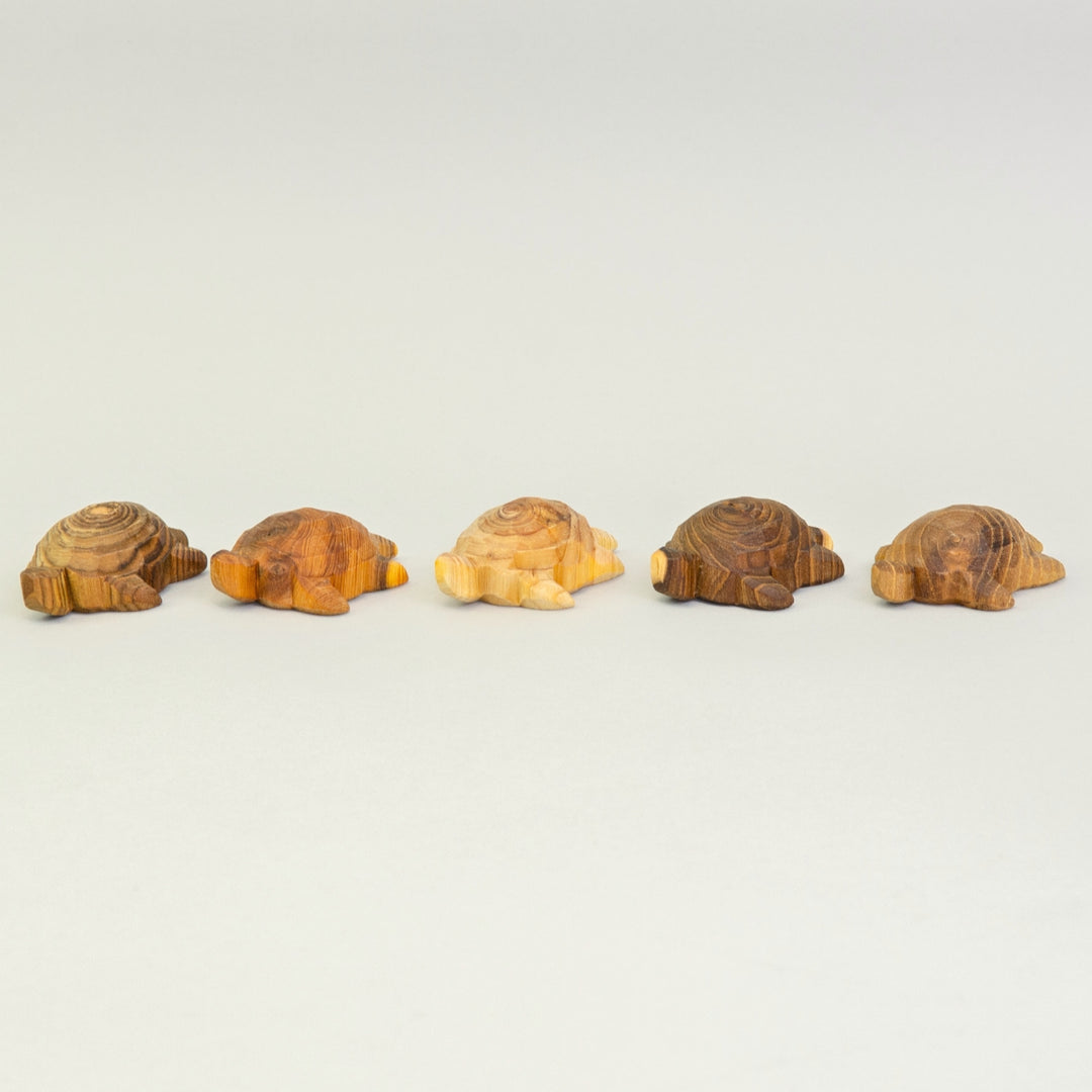 P083 Predan Turtle