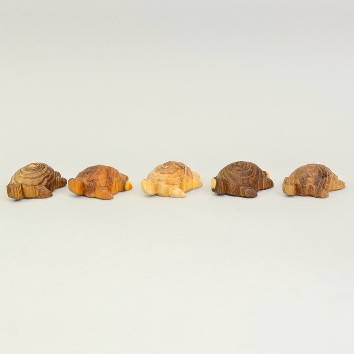 P083 Predan Turtle