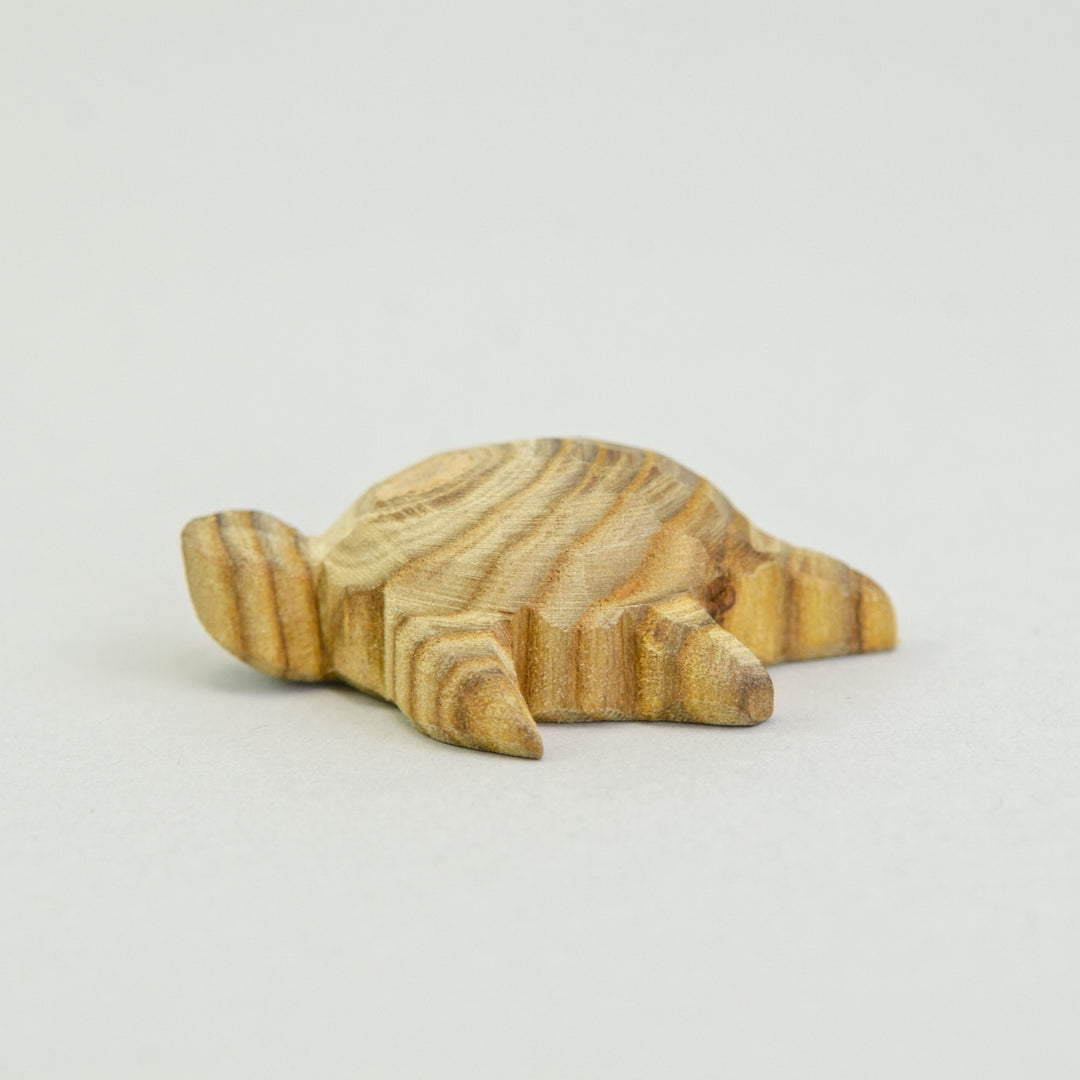 P084 Predan Turtle