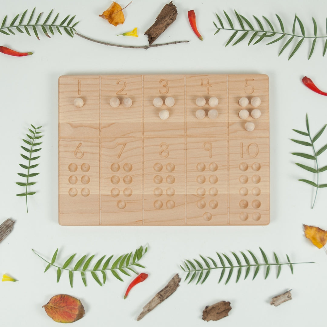 TFJ-6142 From Jennifer Reversible 1-10 Tracing and Number Counting Board