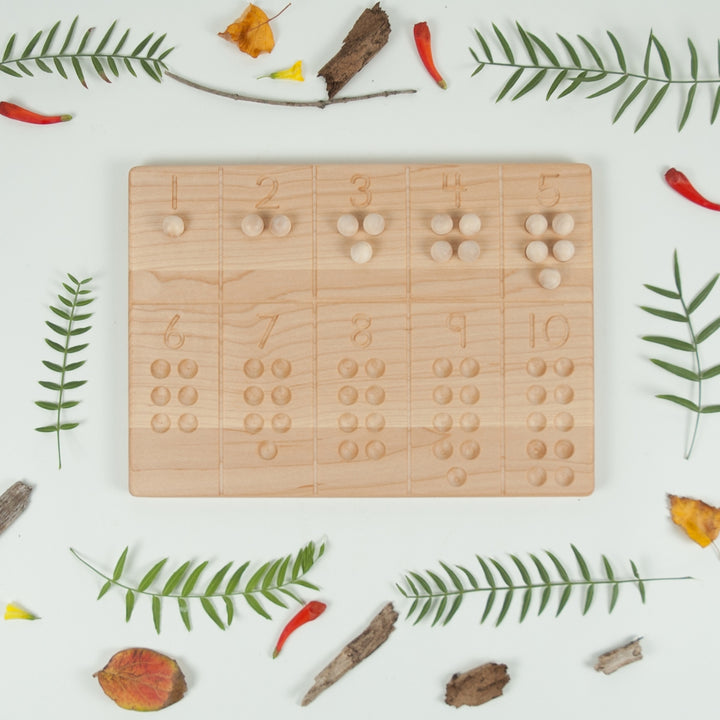 TFJ-6142 From Jennifer Reversible 1-10 Tracing and Number Counting Board