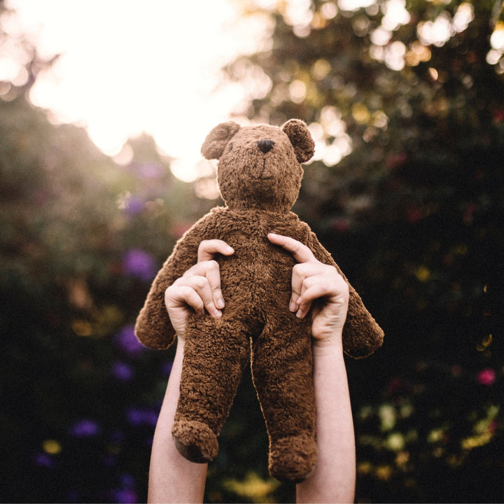 SN-Y21714 Senger Floppy Animal - Bear Large Brown from Australia